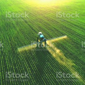 Lebensmittelanalyse bestellen [Digital]